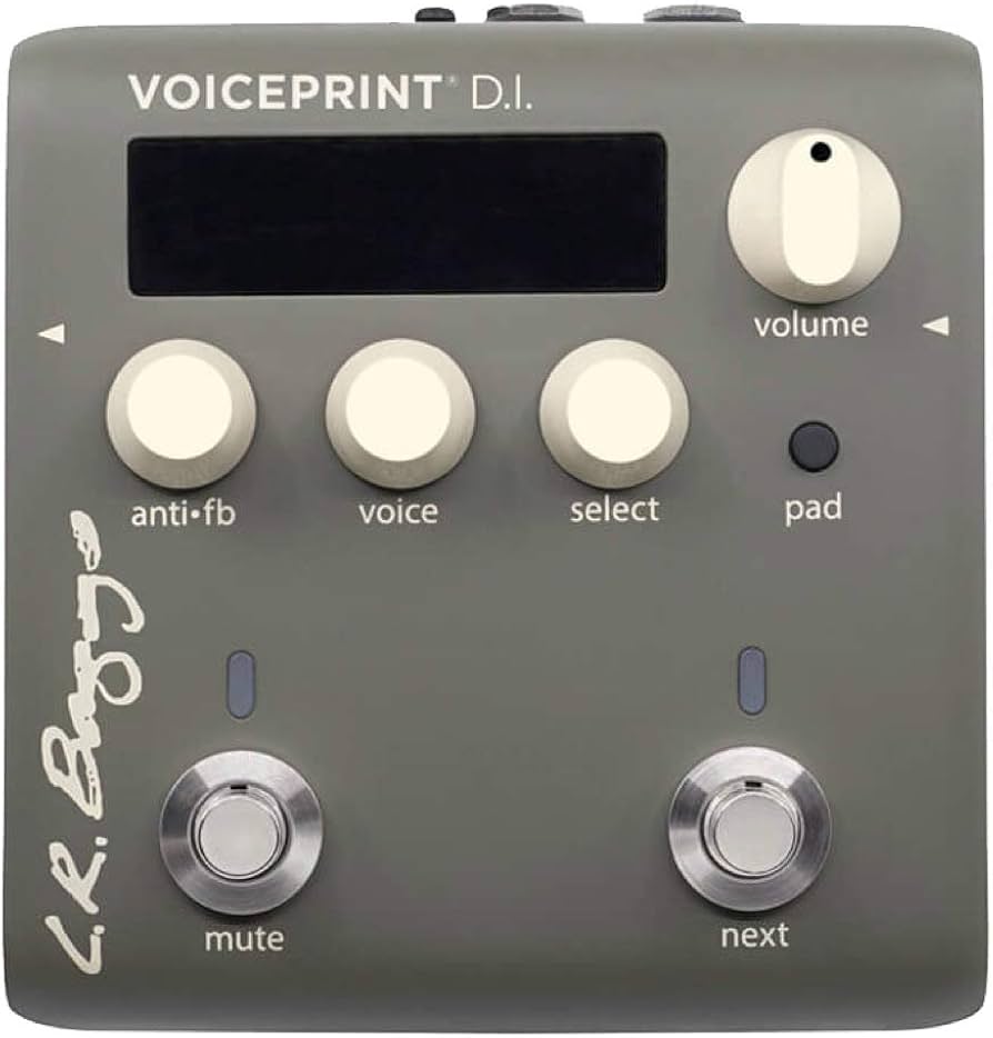Amazon.co.jp: L.R.Baggs Voiceprint DI アコースティックギター用